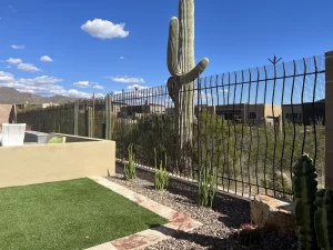 Backyard snake fence designed to prevent rattlesnake entry.