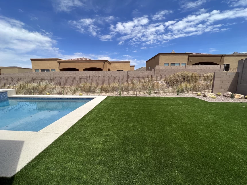 Metal snake fence safeguarding a pool in a desert landscape.